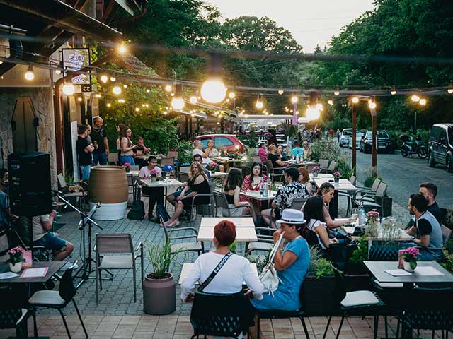  Eger – Szépasszony-völgy – Cím: 3300 Eger, Szépasszonyvölgy 