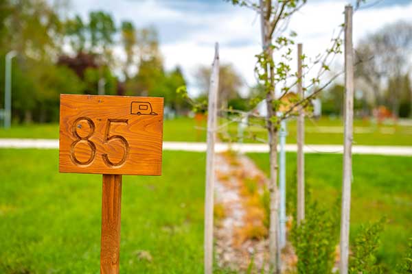 Zsory camping prices